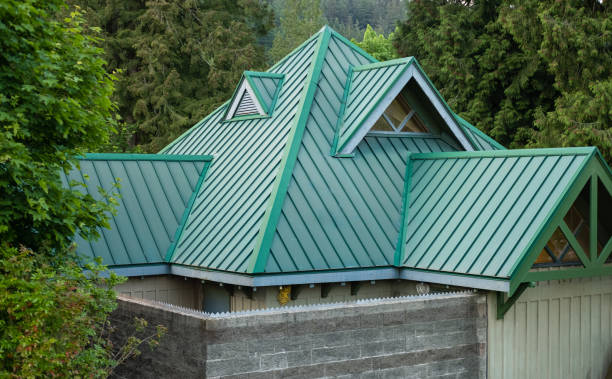 Best Roof Moss and Algae Removal  in Plymouth, IN